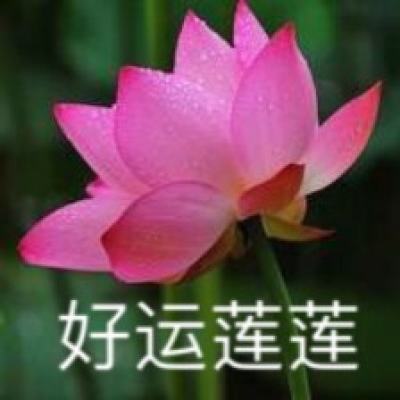 秘密的关系开始了3手机版下载
